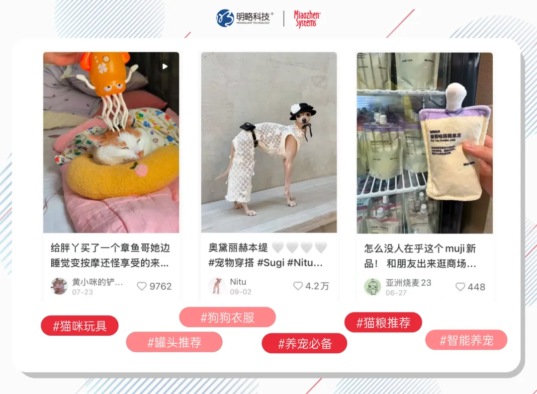 宠物用品成 “情感消费” 主力,哪些品牌征服了铲屎官? 宠物用品成 “情感消费” 主力,哪些品牌征服了铲屎官?